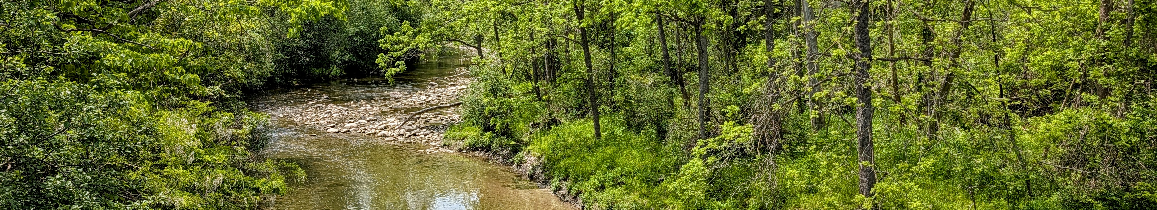 Medway Creek